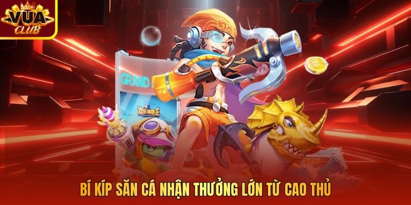 Bí kíp săn cá nhận thưởng lớn từ cao thủ