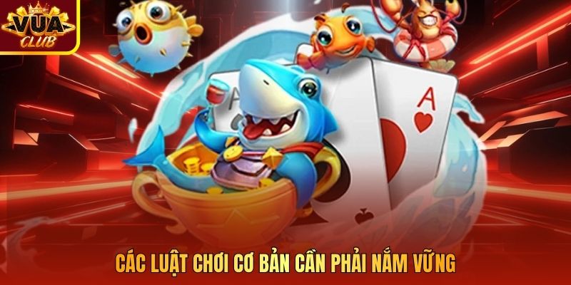 Các luật chơi cơ bản cần phải nắm vững