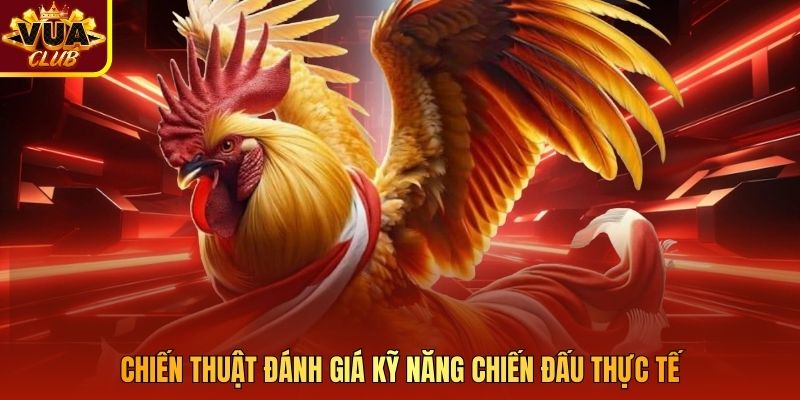 Chiến thuật đánh giá kỹ năng chiến đấu thực tế