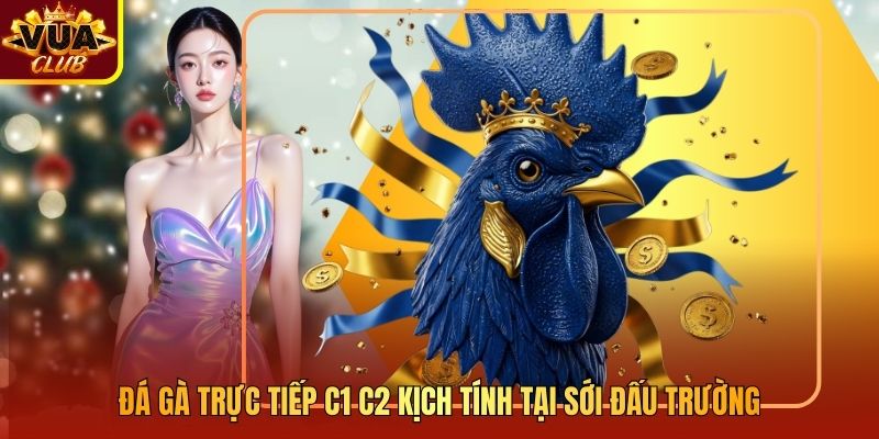 Đá Gà Trực Tiếp C1 C2 Kịch Tính Tại Sới Đấu Trường