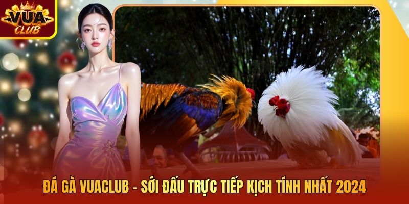 Đá Gà Vuaclub - Sới Đấu Trực Tiếp Kịch Tính Nhất 2024