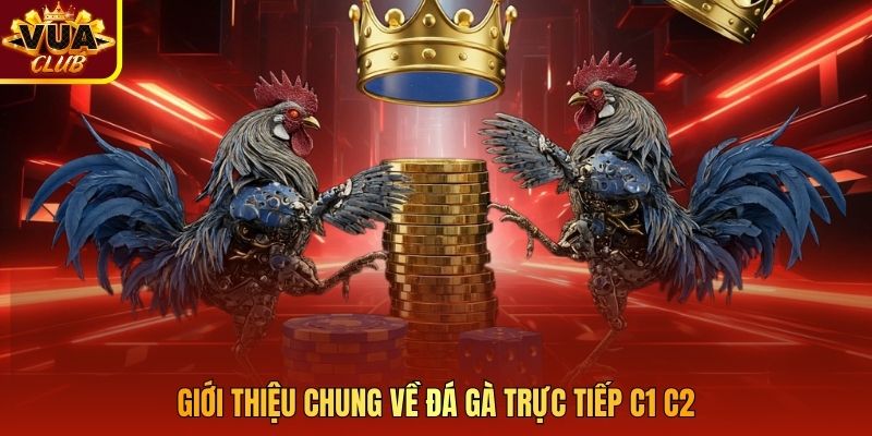 Giới thiệu chung về đá gà trực tiếp c1 c2