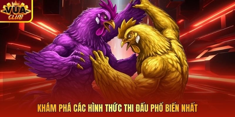 Khám phá các hình thức thi đấu phổ biến nhất