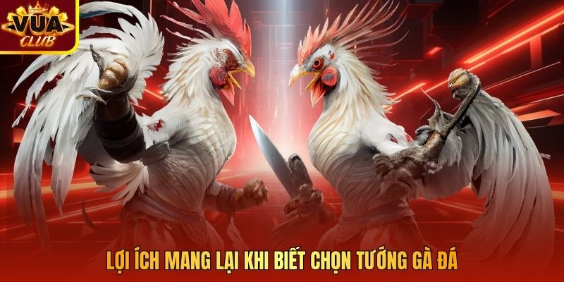 Lợi ích mang lại khi biết chọn tướng gà đá