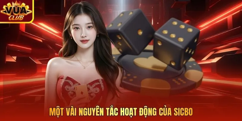 Một vài nguyên tắc hoạt động của Sicbo