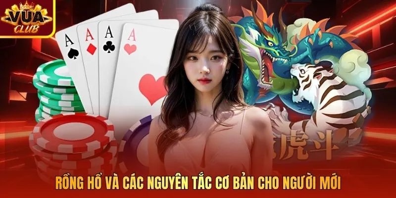 Rồng Hổ và các nguyên tắc cơ bản cho người mới 