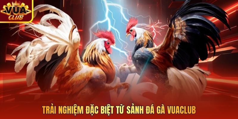 Trải nghiệm đặc biệt từ sảnh đá gà Vuaclub